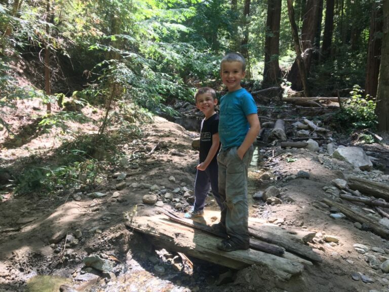 IMG 5416 1024x768 1 768x576