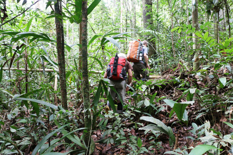 buscraftglobal1 768x512