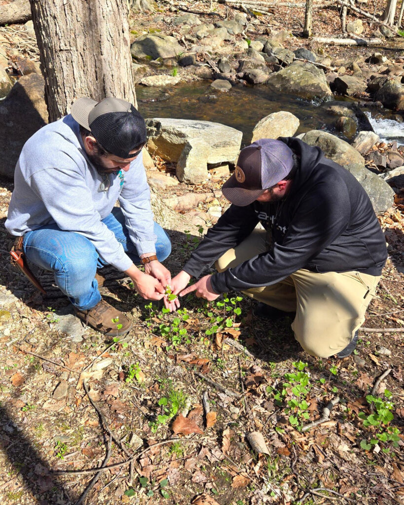 Nick Italiano teaching foraging skills.